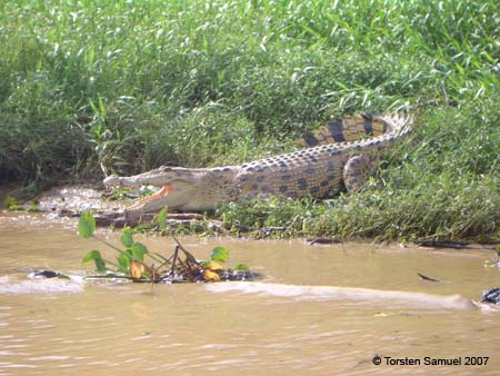 Malaysia_2007-246