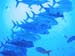 Urlaub2005_169