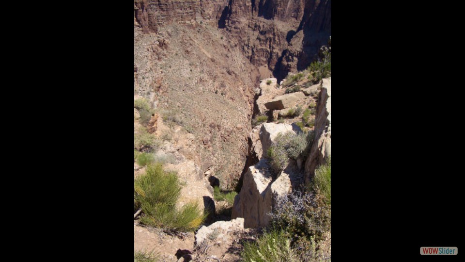 Amerika_2008_14_Grand_Canyon_NP_East_033