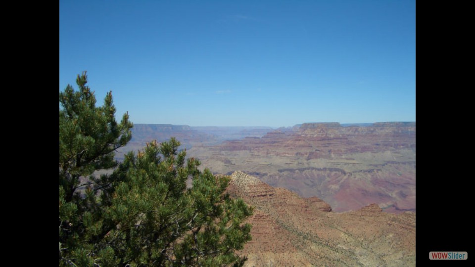 Amerika_2008_14_Grand_Canyon_NP_East_042