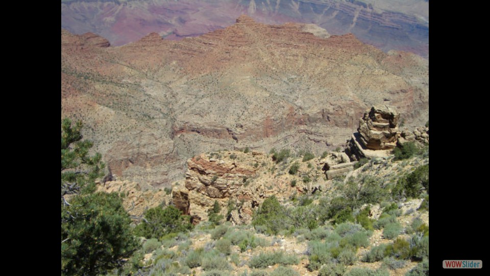 Amerika_2008_14_Grand_Canyon_NP_East_044