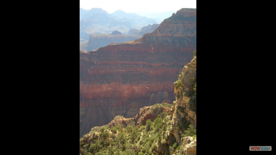 Amerika_2008_14_Grand_Canyon_NP_East_070