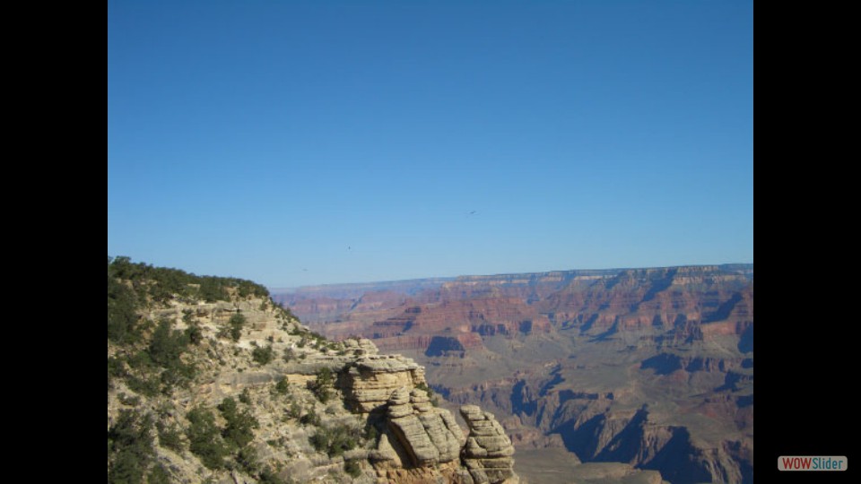 Amerika_2008_14_Grand_Canyon_NP_East_071