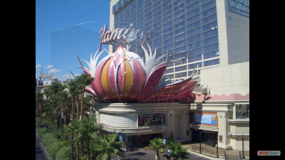 Amerika_2008_19_Las_Vegas_002