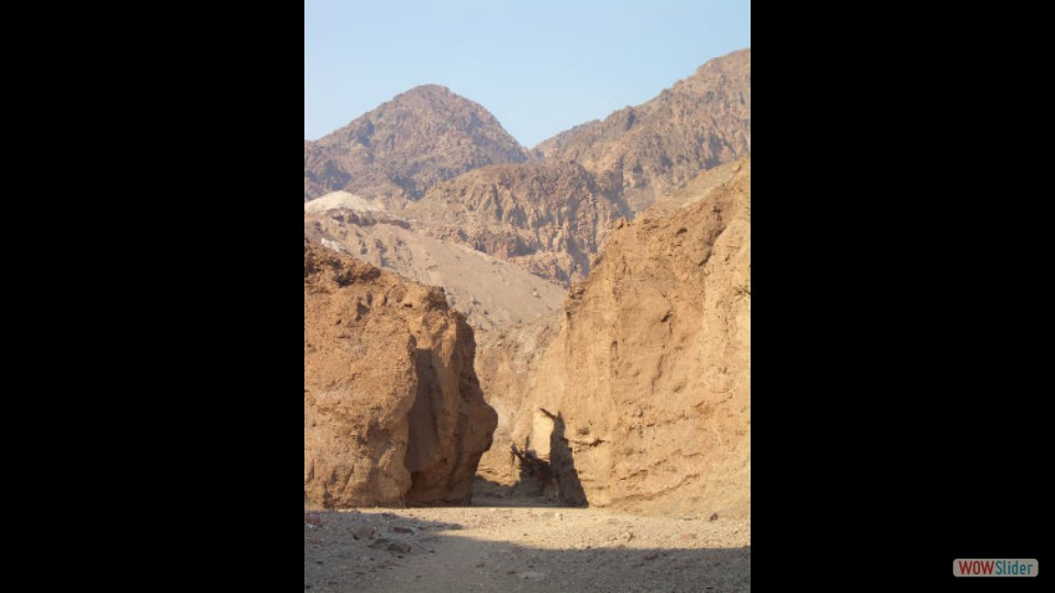 Amerika_2008_20_Death_Valley_NP_043