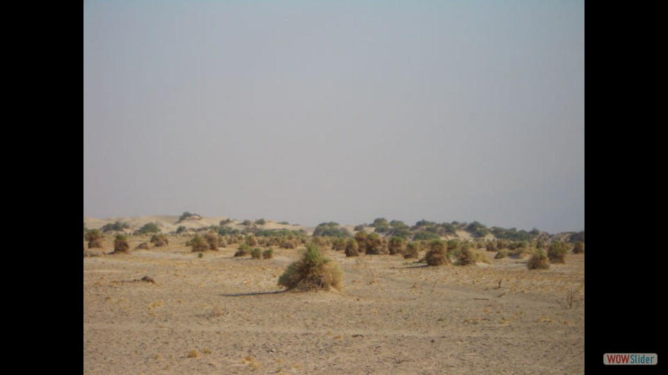 Amerika_2008_21_Death_Valley_NP_003