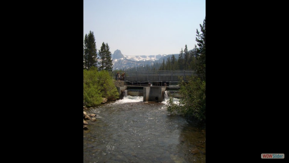 Amerika_2008_24_Mammoth_Lakes_NP_015