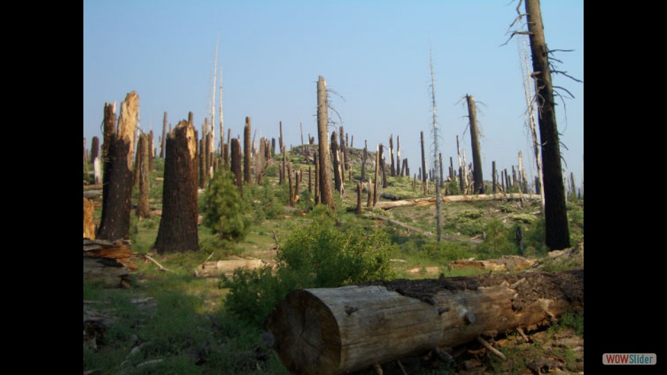 Amerika_2008_24_Mammoth_Lakes_NP_021