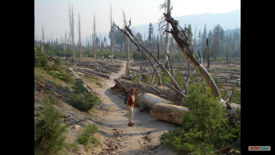 Amerika_2008_24_Mammoth_Lakes_NP_023