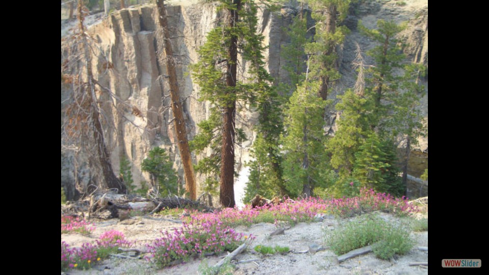 Amerika_2008_24_Mammoth_Lakes_NP_024