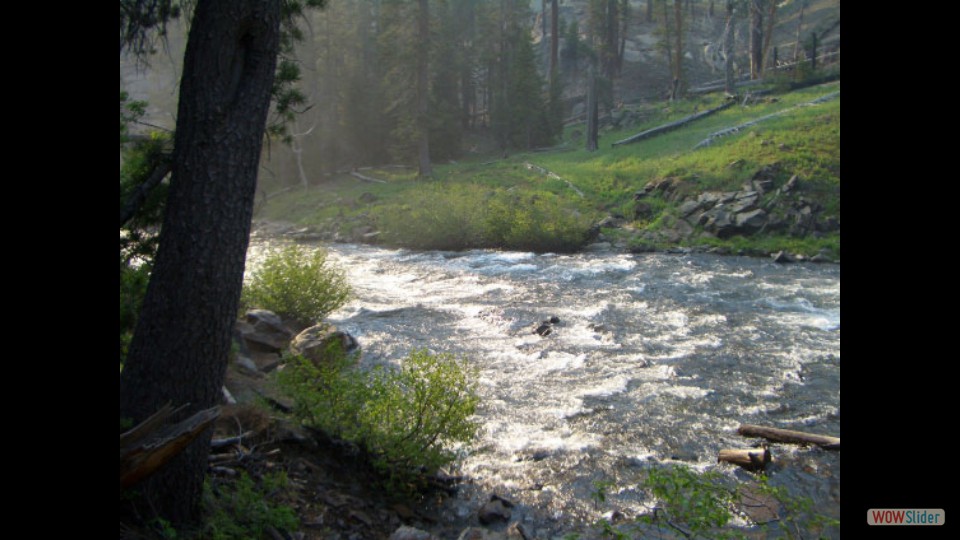 Amerika_2008_24_Mammoth_Lakes_NP_034