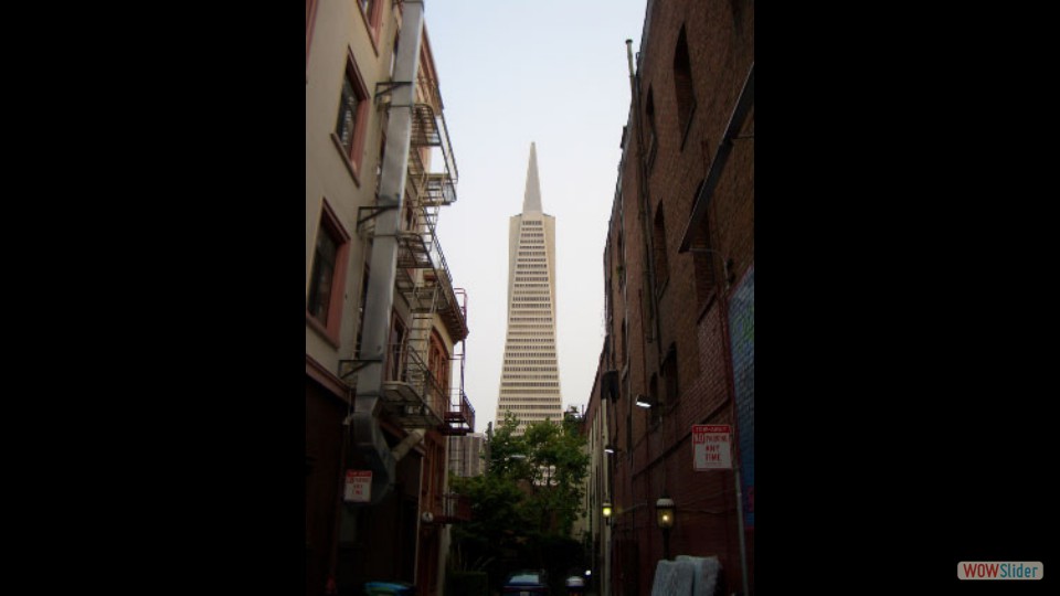 Amerika_2008_27_San_Francisco_038