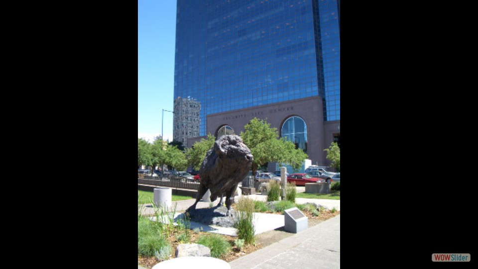 Amerika_2008_01_Denver_050