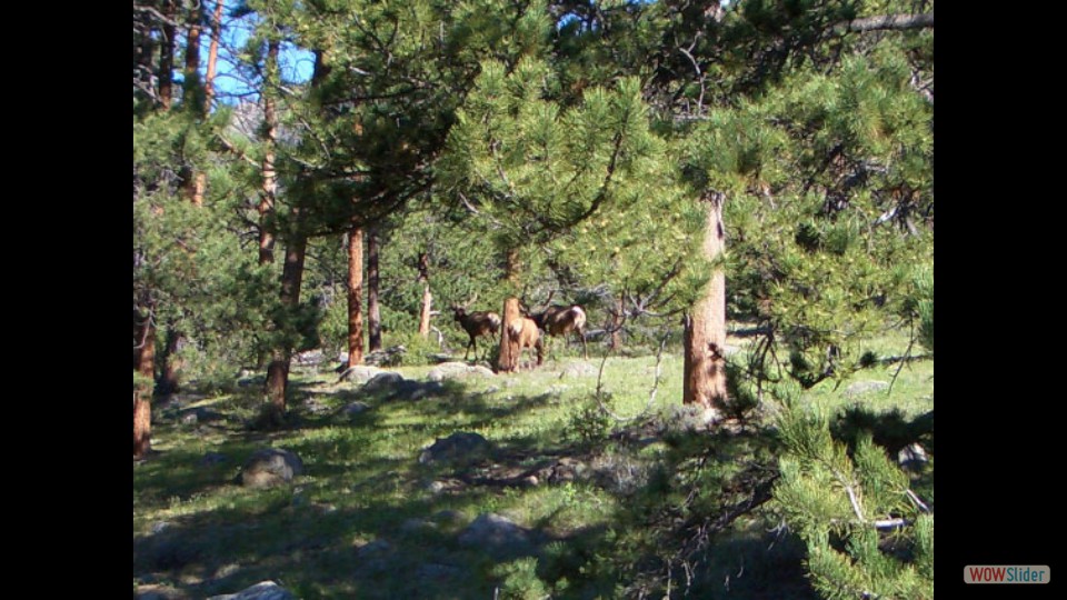 Amerika_2008_02_Rocky_Mountain_NP_002_bearbeitet-1