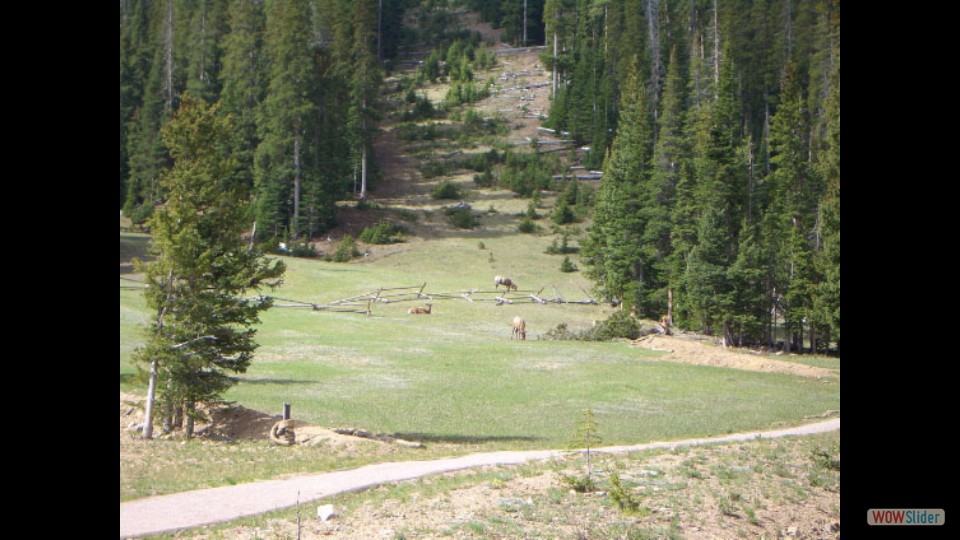 Amerika_2008_02_Rocky_Mountain_NP_004