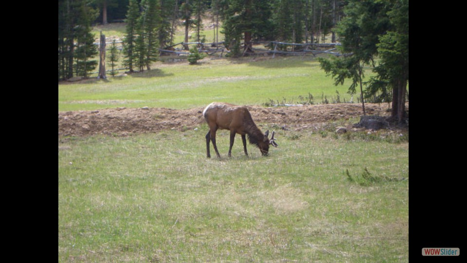 Amerika_2008_02_Rocky_Mountain_NP_008