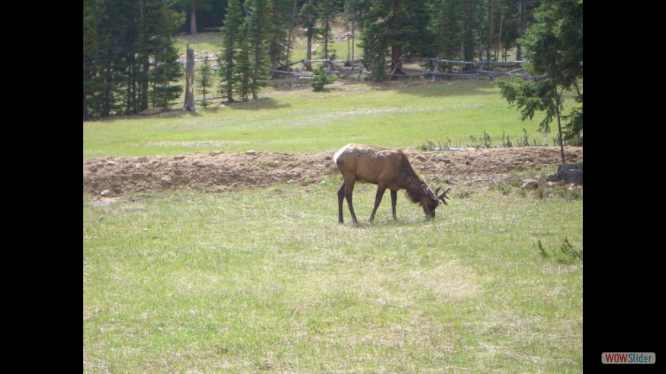 Amerika_2008_02_Rocky_Mountain_NP_009