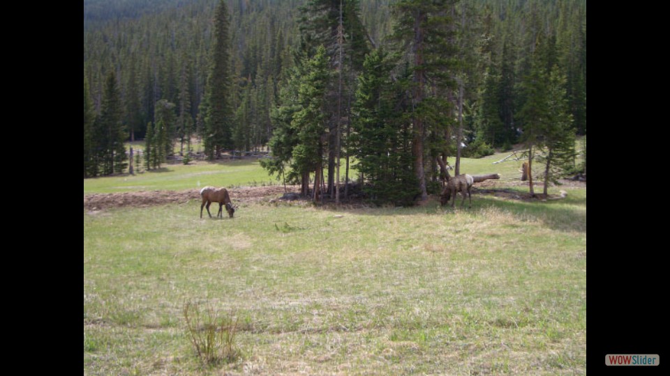 Amerika_2008_02_Rocky_Mountain_NP_010