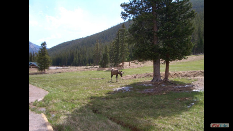 Amerika_2008_02_Rocky_Mountain_NP_011