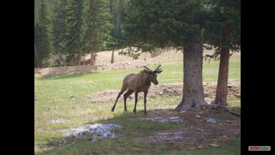 Amerika_2008_02_Rocky_Mountain_NP_012