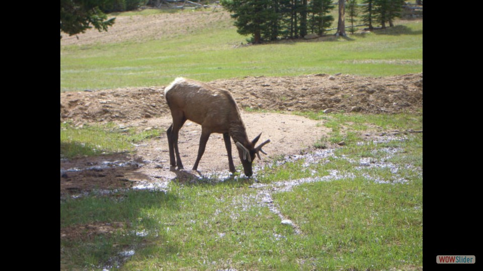 Amerika_2008_02_Rocky_Mountain_NP_013