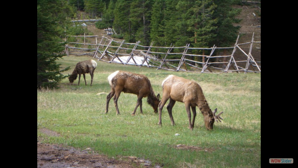 Amerika_2008_02_Rocky_Mountain_NP_017