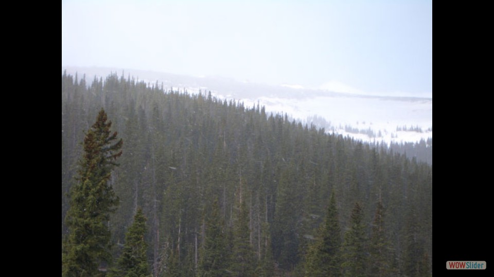 Amerika_2008_02_Rocky_Mountain_NP_018