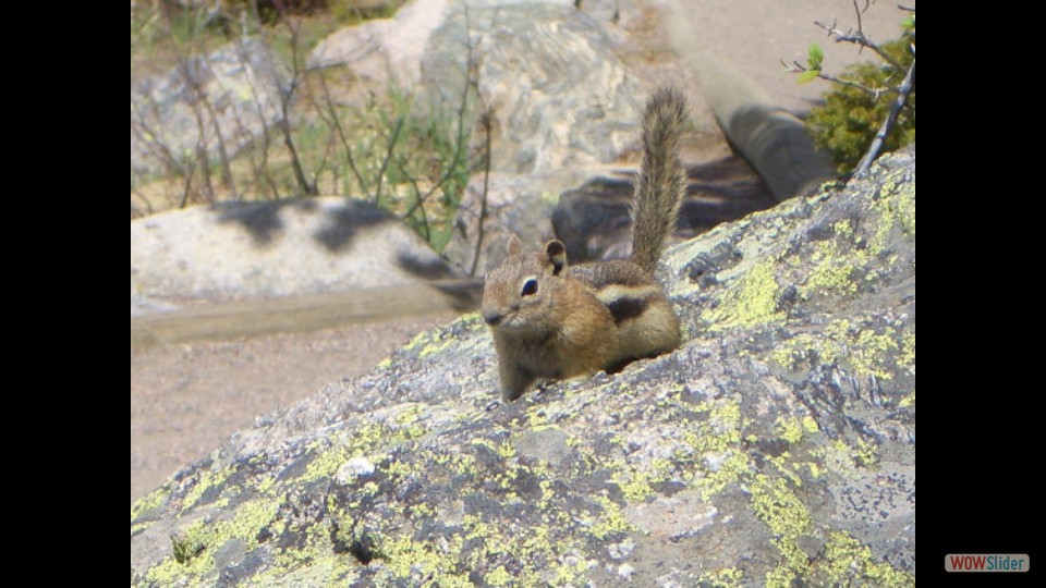 Amerika_2008_02_Rocky_Mountain_NP_024_bearbeitet-1