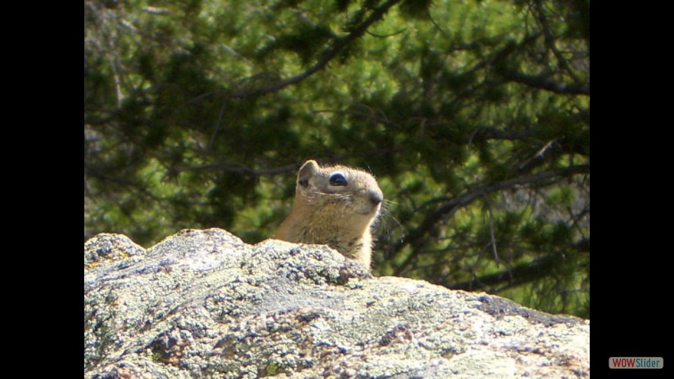 Amerika_2008_02_Rocky_Mountain_NP_028_bearbeitet-1