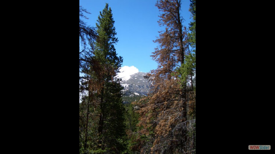 Amerika_2008_02_Rocky_Mountain_NP_029