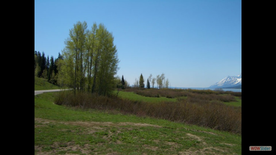 Amerika_2008_08_Grand_Teton_NP_002