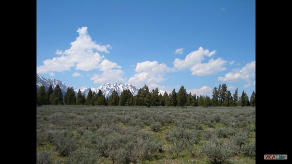 Amerika_2008_08_Grand_Teton_NP_033