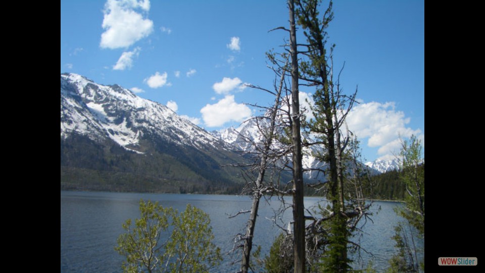 Amerika_2008_08_Grand_Teton_NP_042