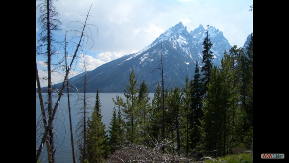 Amerika_2008_08_Grand_Teton_NP_045