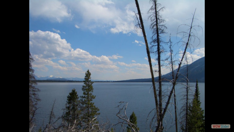 Amerika_2008_08_Grand_Teton_NP_046