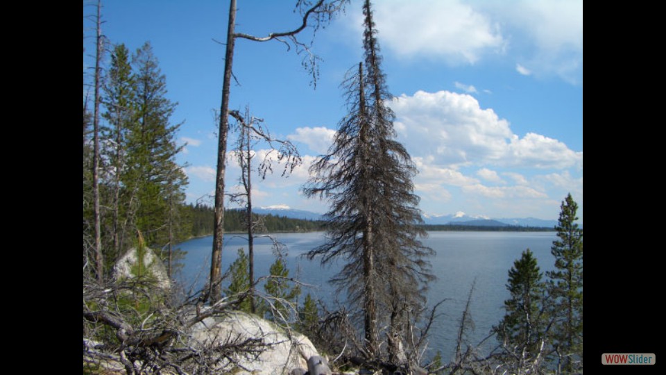 Amerika_2008_08_Grand_Teton_NP_047