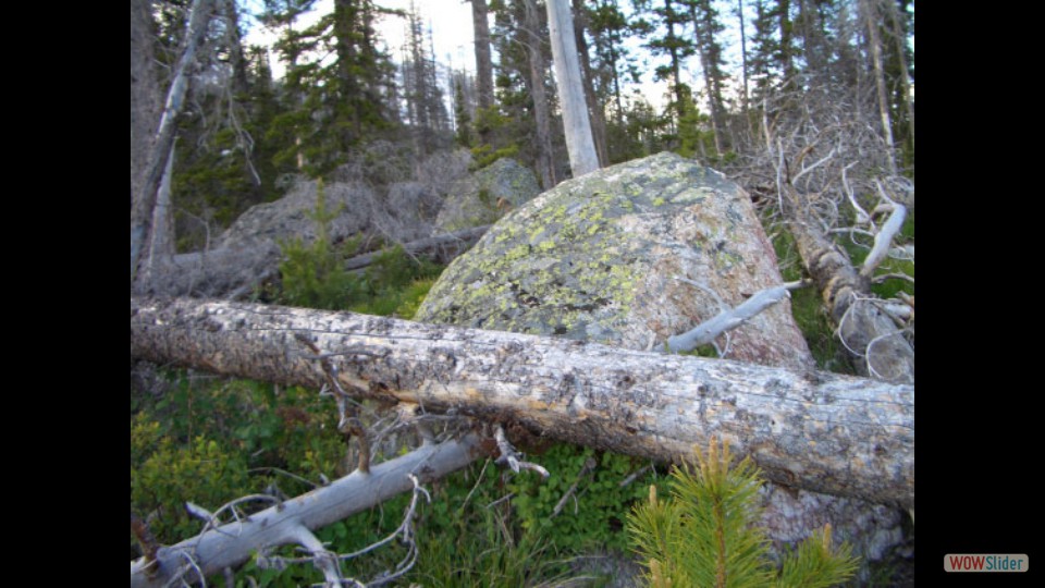 Amerika_2008_08_Grand_Teton_NP_051