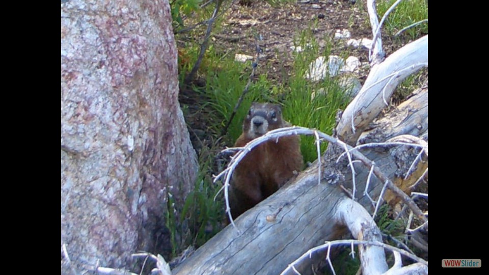 Amerika_2008_08_Grand_Teton_NP_058_bearbeitet-1