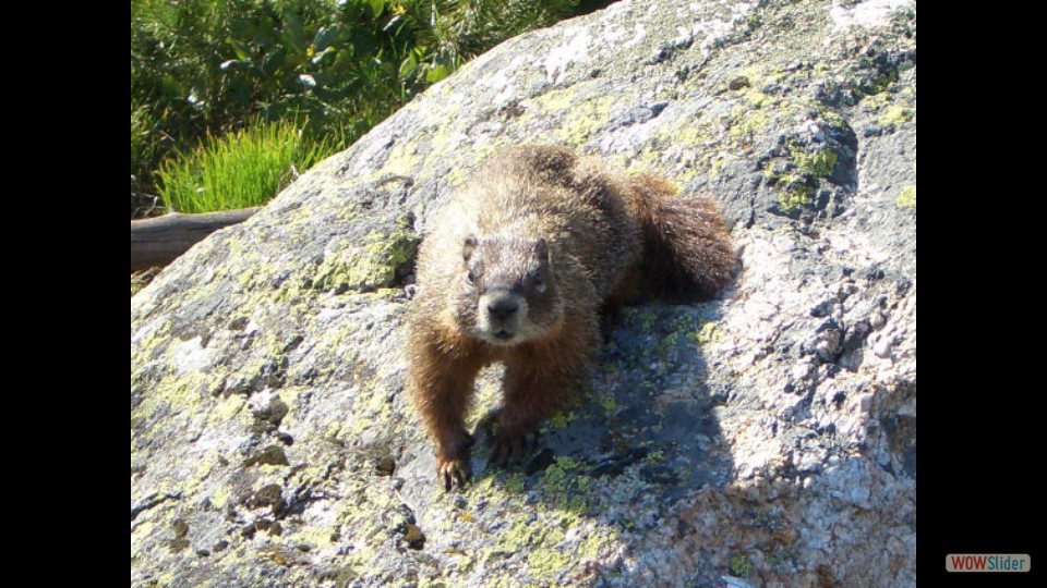 Amerika_2008_08_Grand_Teton_NP_062_bearbeitet-1