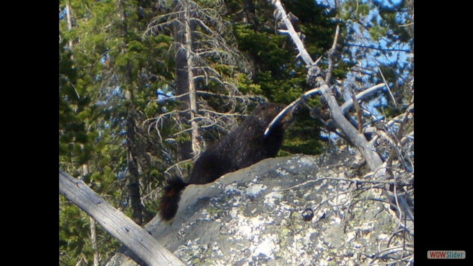 Amerika_2008_08_Grand_Teton_NP_064_bearbeitet-1