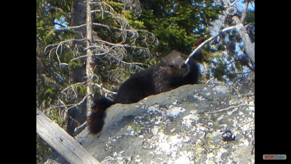 Amerika_2008_08_Grand_Teton_NP_065_bearbeitet-1